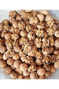 Kabuklu Şili Ceviz 500 GR